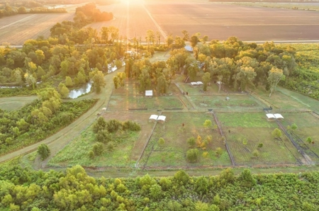 300 Acre High Fenced Hunting Ranch Concordia Parish, LA - image 19