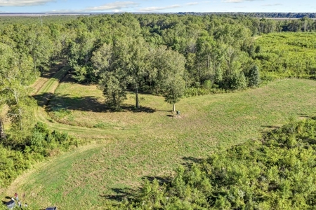 300 Acre High Fenced Hunting Ranch Concordia Parish, LA - image 36