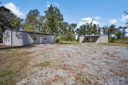 300 Acre High Fenced Hunting Ranch Concordia Parish, LA - image 7