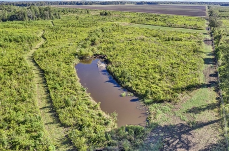 300 Acre High Fenced Hunting Ranch Concordia Parish, LA - image 38