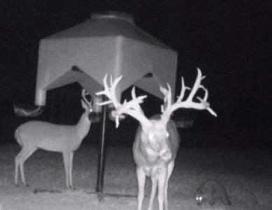 300 Acre High Fenced Hunting Ranch Concordia Parish, LA - image 11