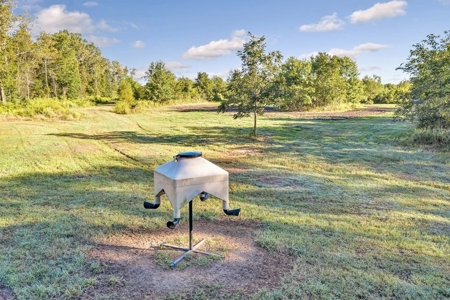 300 Acre High Fenced Hunting Ranch Concordia Parish, LA - image 30