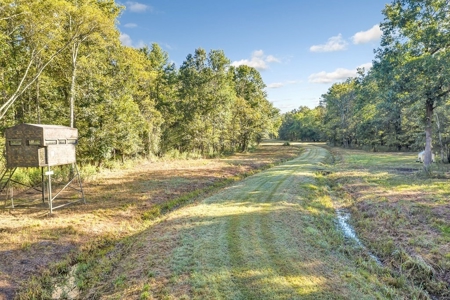 300 Acre High Fenced Hunting Ranch Concordia Parish, LA - image 34