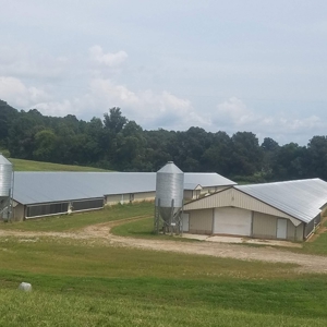 NC Broiler Farm - Alexander  Co.  6 Broiler  Houses-Tyson - image 1