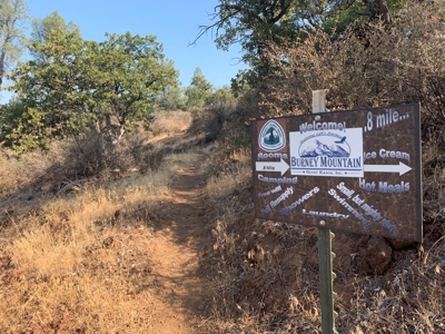 Burney Mountain Guest Ranch Lodging Family Compound for Sale - image 3
