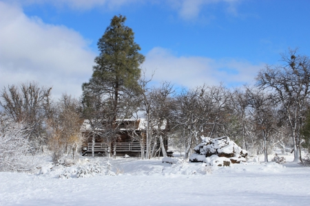 Burney Mountain Guest Ranch Lodging Family Compound for Sale - image 19