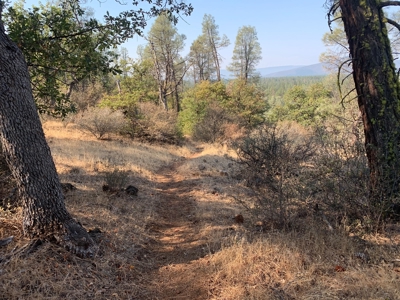 Burney Mountain Guest Ranch Lodging Family Compound for Sale - image 4