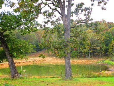 125 Acre Farm With Live Water-Ponds-Shop- Doniphan Missouri - image 12