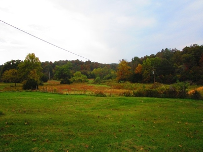 125 Acre Farm With Live Water-Ponds-Shop- Doniphan Missouri - image 4