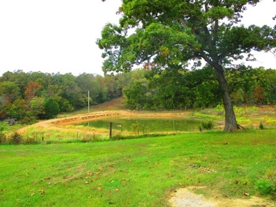 125 Acre Farm With Live Water-Ponds-Shop- Doniphan Missouri - image 13