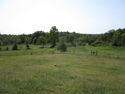 125 Acre Farm With Live Water-Ponds-Shop- Doniphan Missouri - image 5
