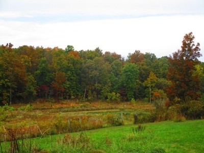 125 Acre Farm With Live Water-Ponds-Shop- Doniphan Missouri - image 1
