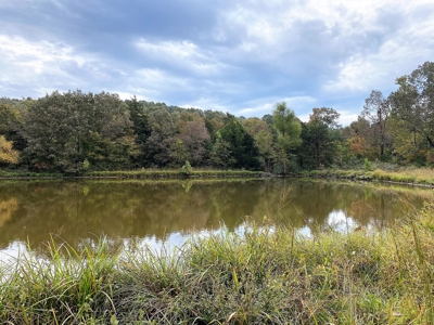 Large Bank Owned Arkansas Home With Acreage - image 18