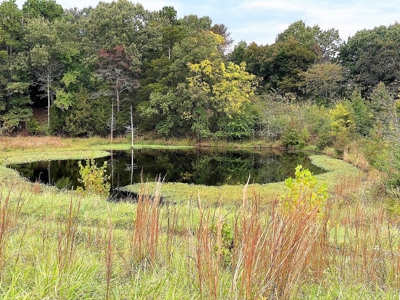 Large Bank Owned Arkansas Home With Acreage - image 16