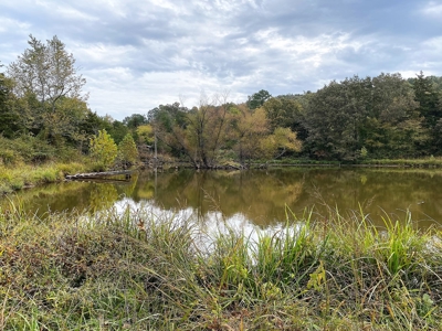 Large Bank Owned Arkansas Home With Acreage - image 17