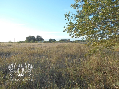 160 acres m/l. Alfalfa County Oklahoma Land for sale - image 9