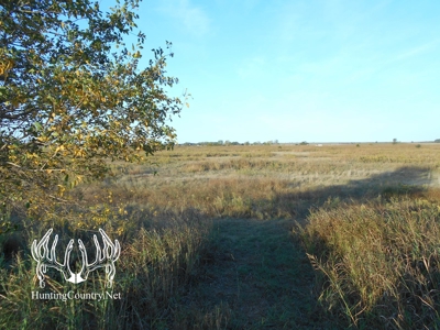 160 acres m/l. Alfalfa County Oklahoma Land for sale - image 8