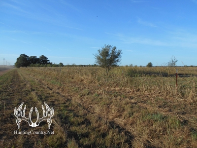 160 acres m/l. Alfalfa County Oklahoma Land for sale - image 26