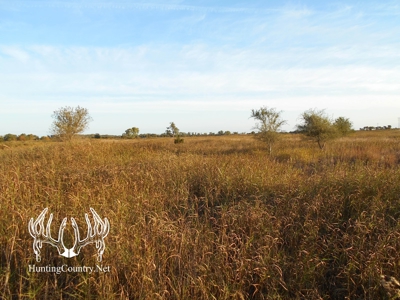 160 acres m/l. Alfalfa County Oklahoma Land for sale - image 12
