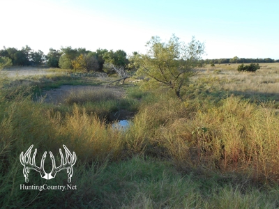 160 acres m/l. Alfalfa County Oklahoma Land for sale - image 25