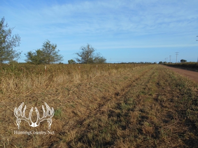 160 acres m/l. Alfalfa County Oklahoma Land for sale - image 27