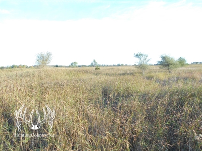 160 acres m/l. Alfalfa County Oklahoma Land for sale - image 11
