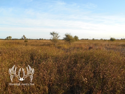 160 acres m/l. Alfalfa County Oklahoma Land for sale - image 10