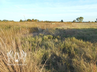 160 acres m/l. Alfalfa County Oklahoma Land for sale - image 3