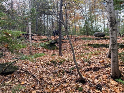 Land in Woodstock, Maine - image 27