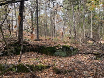 Land in Woodstock, Maine - image 11