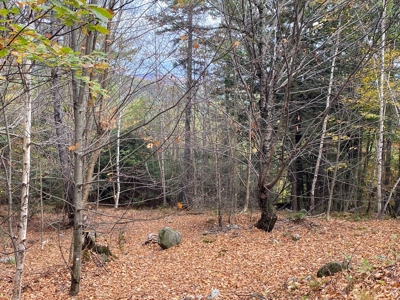 Land in Woodstock, Maine - image 8