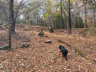 Land in Woodstock, Maine - image 13