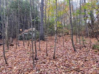 Land in Woodstock, Maine - image 26