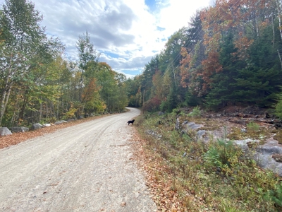 Land in Woodstock, Maine - image 25