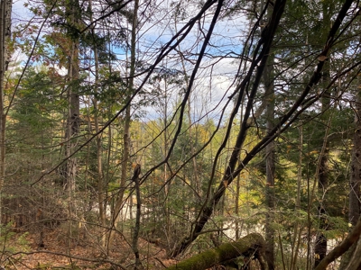 Land in Woodstock, Maine - image 10