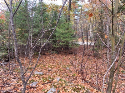 Land in Woodstock, Maine - image 4