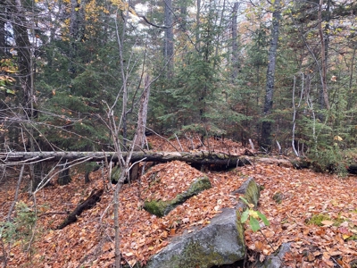 Land in Woodstock, Maine - image 28