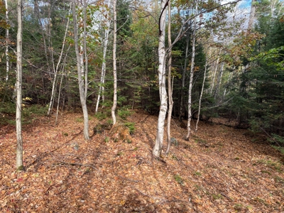 Land in Woodstock, Maine - image 12