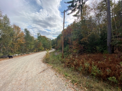 Land in Woodstock, Maine - image 23