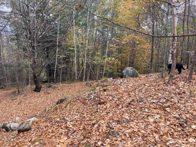 Land in Woodstock, Maine - image 7