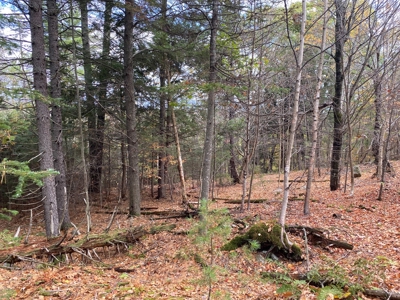 Land in Woodstock, Maine - image 6