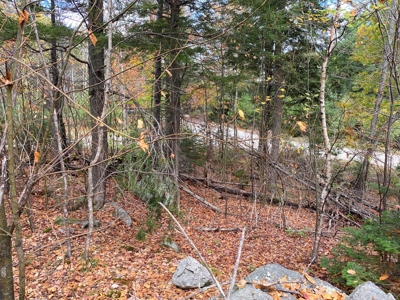 Land in Woodstock, Maine - image 3