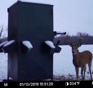 Invest in Kansas Farm Land with Income and Whitetail Hunting - image 19