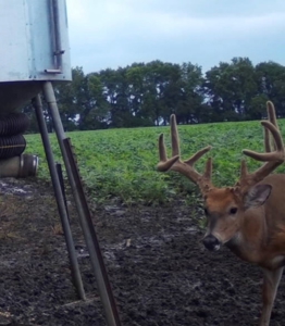 Invest in Kansas Farm Land with Income and Whitetail Hunting - image 15