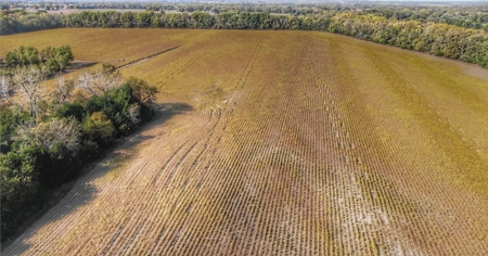 Invest in Kansas Farm Land with Income and Whitetail Hunting - image 5