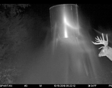 Invest in Kansas Farm Land with Income and Whitetail Hunting - image 9