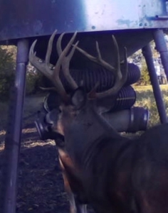 Invest in Kansas Farm Land with Income and Whitetail Hunting - image 10