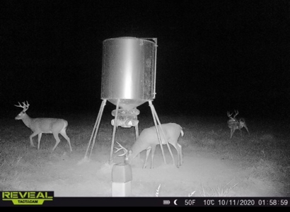 Invest in Kansas Farm Land with Income and Whitetail Hunting - image 22