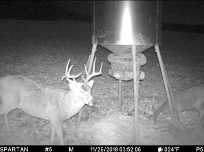 Invest in Kansas Farm Land with Income and Whitetail Hunting - image 11