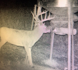 Invest in Kansas Farm Land with Income and Whitetail Hunting - image 20